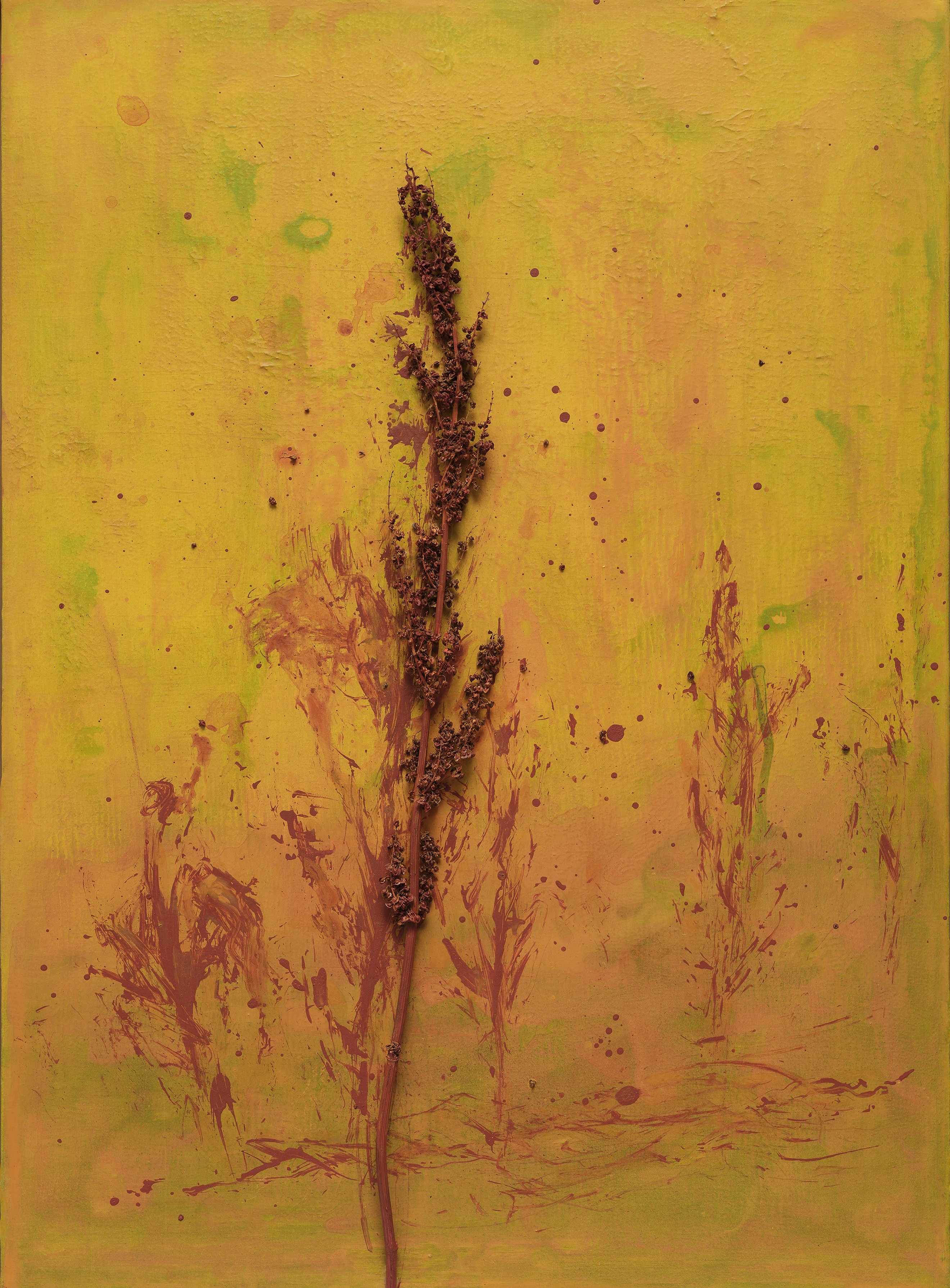 9. Walking, 2024, Pigment, dry stem and medium on canvas, 72.7×53cm,.jpg